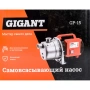 фото самовсасывающий насос gigant gp-15